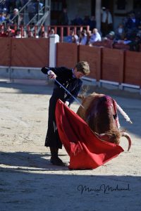 Miguel Ángel Perera destaca en el festival de Chinchón