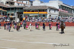Miguel Ángel Perera destaca en el festival de Chinchón