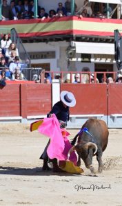 Miguel Ángel Perera destaca en el festival de Chinchón