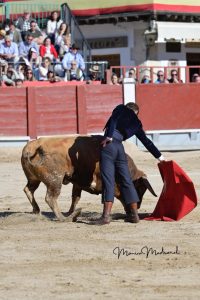 Miguel Ángel Perera destaca en el festival de Chinchón