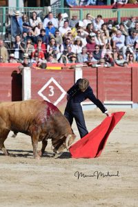 Miguel Ángel Perera destaca en el festival de Chinchón