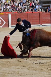 Miguel Ángel Perera destaca en el festival de Chinchón