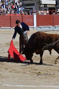 Miguel Ángel Perera destaca en el festival de Chinchón