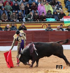 La personalidad de Talavante destaca en Olivenza