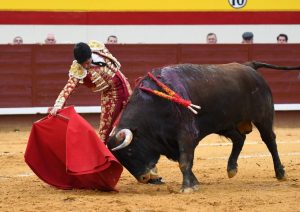 Juanito y Jorge Molina, oreja en la primera de la Copa Chenel