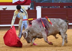 Juanito y Jorge Molina, oreja en la primera de la Copa Chenel