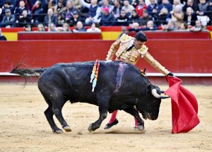 Roca Rey y 'Frenoso', de Victoriano del Río, se unen en Valencia
