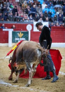 Triunfal festival solidario en Jaén
