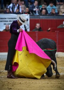 Triunfal festival solidario en Jaén
