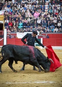Triunfal festival solidario en Jaén
