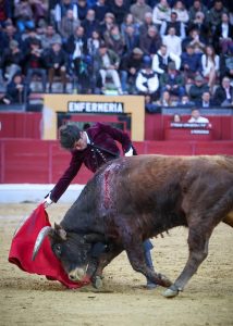 Triunfal festival solidario en Jaén