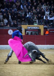 Triunfal festival solidario en Jaén