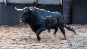 'Oficial', de Fuente Ymbro, abre la tarde en Las Ventas