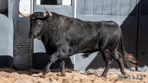 'Oficial, de Fuente Ymbro', abre la tarde en Las Ventas