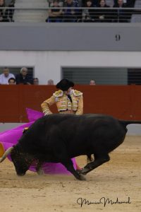 Triple salida a hombros en Las Rozas