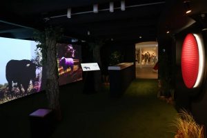 Se inaugura un centro innovador en La Malagueta