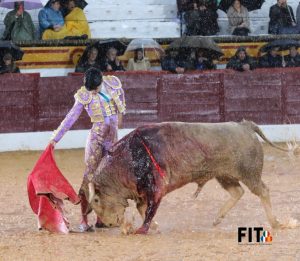 Ganas y buen toreo de los novilleros ante el diluvio en Olivenza