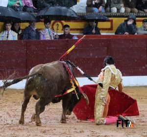 Ganas y buen toreo de los novilleros ante el diluvio en Olivenza