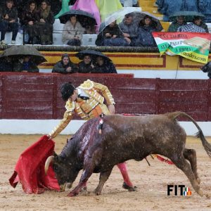 Ganas y buen toreo de los novilleros ante el diluvio en Olivenza