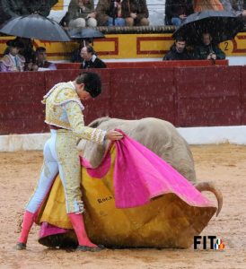 Ganas y buen toreo de los novilleros ante el diluvio en Olivenza