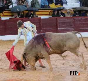 Ganas y buen toreo de los novilleros ante el diluvio en Olivenza
