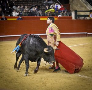 A oreja por coleta en la novillada de Valencia