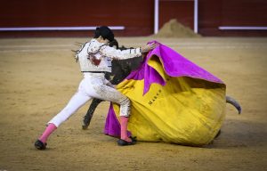 A oreja por coleta en la novillada de Valencia
