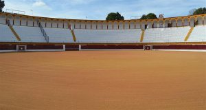 Los toros de Puerto de San Lorenzo para esta tarde en Olivenza