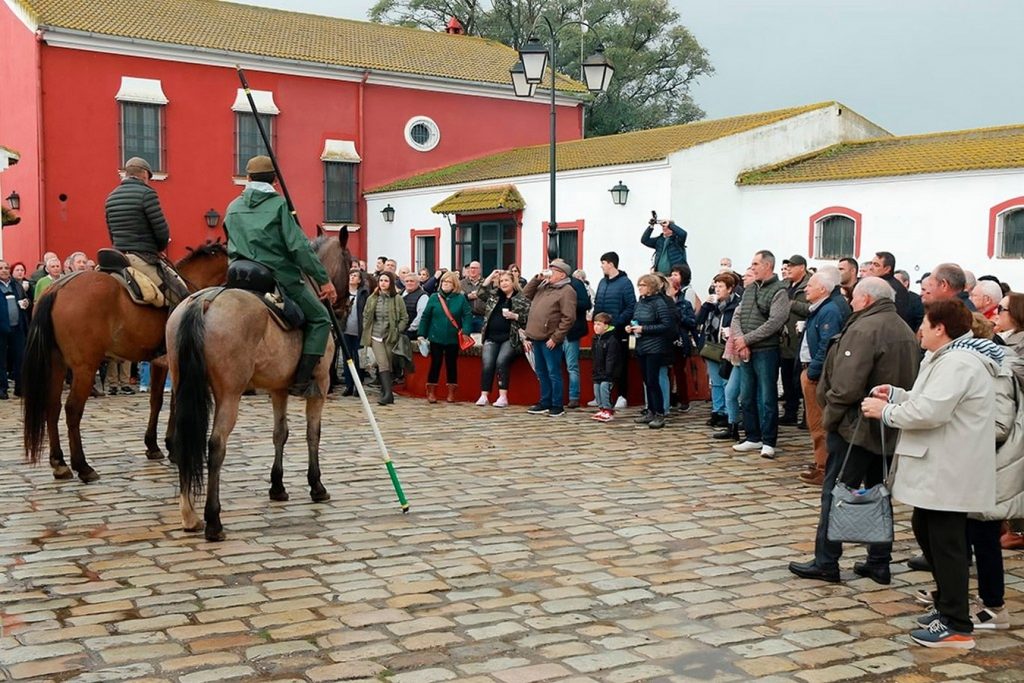El Club Taurino Almodóvar visita la ganadería de Pablo Romero