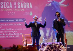 Puerta grande de Ruiz Miguel y Padilla en Villaseca de la Sagra