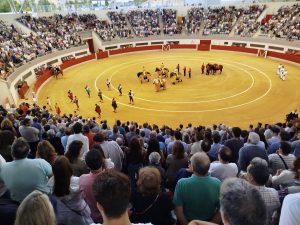 Los toros de Montalvo para la corrida de Las Rozas