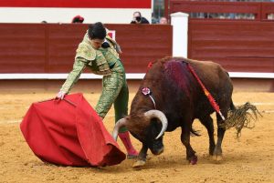 Oreja para Cristiano Torres y Sergio Rollón en Valdilecha