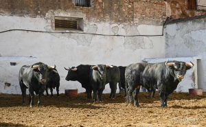 Orden de lidia para la segunda corrida de la Feria de Castellón