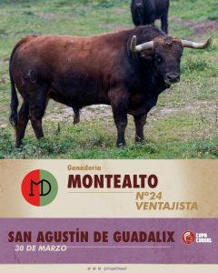 La previa de la tercera clasificatoria de la Copa Chenel