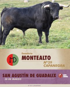 La previa de la tercera clasificatoria de la Copa Chenel