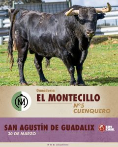 La previa de la tercera clasificatoria de la Copa Chenel