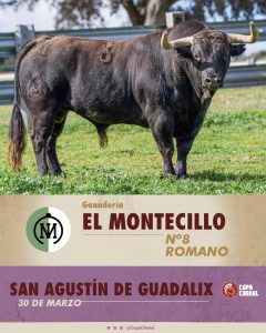 La previa de la tercera clasificatoria de la Copa Chenel