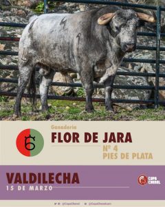 La terna de la Copa Chenel para este sábado en Valdilecha