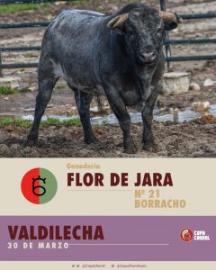 La terna de la Copa Chenel para este sábado en Valdilecha