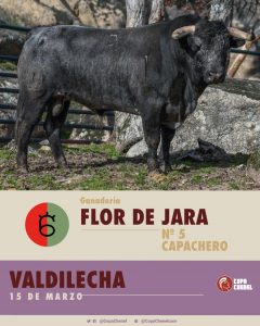 La terna de la Copa Chenel para este sábado en Valdilecha