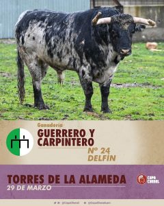 La terna de este sábado en Torres de la Alameda