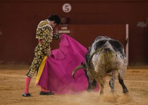 David Garzón y Álvaro Burdiel puntúan en la Copa Chenel