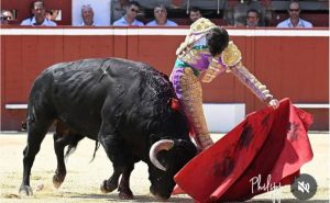 Tristán Barroso: Doble jornada con la afición francesa