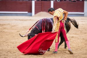 Una faena de Ferrera, sin espada, destaca en Madrid