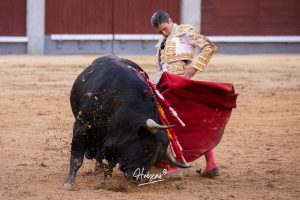 Una faena de Ferrera, sin espada, destaca en Madrid