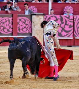 Fortes y Roca Rey triunfan en una histórica Corrida Picassiana