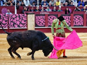 Fortes y Roca Rey triunfan en una histórica Corrida Picassiana