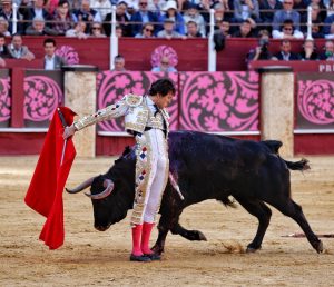 Fortes y Roca Rey triunfan en una histórica Corrida Picassiana