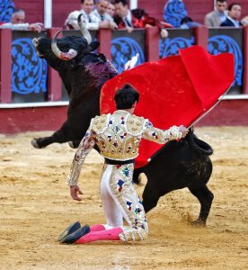 Fortes y Roca Rey triunfan en una histórica Corrida Picassiana