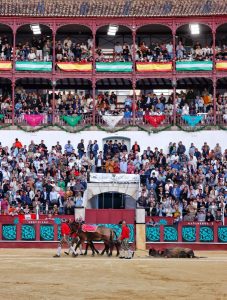 Fortes y Roca Rey triunfan en una histórica Corrida Picassiana